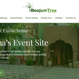 Boojum Tree photo