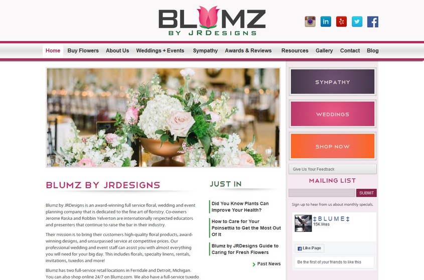 Blumz wedding vendor photo