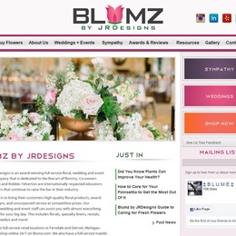 Blumz photo
