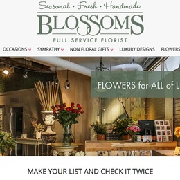 Blossoms photo