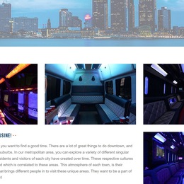 Photo of Det Limousine, a wedding limo service in Detroit