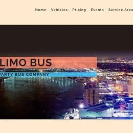 Detroit Party Bus photo