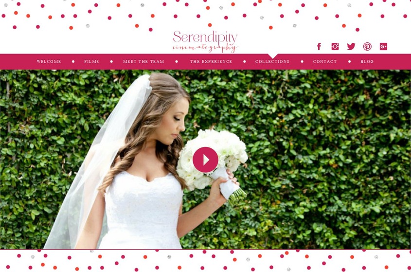 Serendipity Cinematography wedding vendor photo