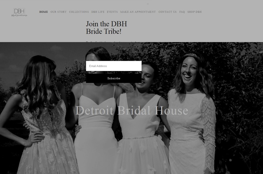 Detroit Bridal House wedding vendor photo