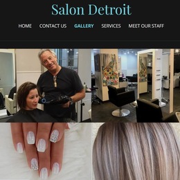 Salon Detroit photo