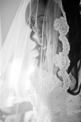 Blue Rose Photography wedding vendor photo