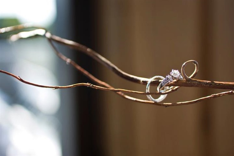 Blue Rose Photography wedding vendor photo