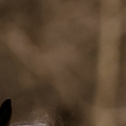 Photo of Jennifer Smutek Photography, a wedding photographer in Baltimore