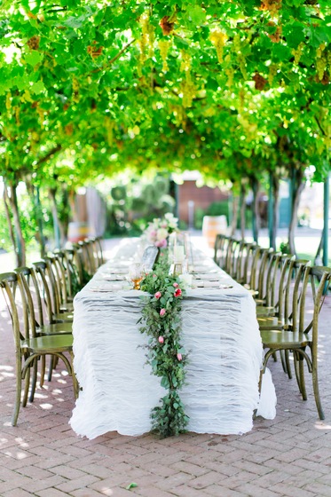 Williams Party Rentals wedding vendor photo