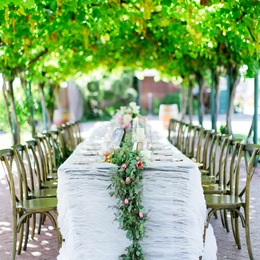 Williams Party Rentals photo