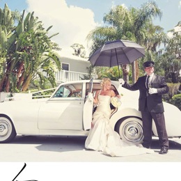 Vip Wedding Transportation photo