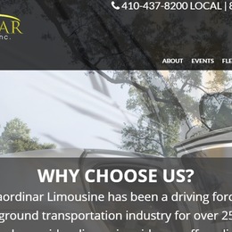 An Extraordinar Limousine photo