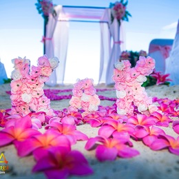 Hawaii Beach Weddings - Aiw photo