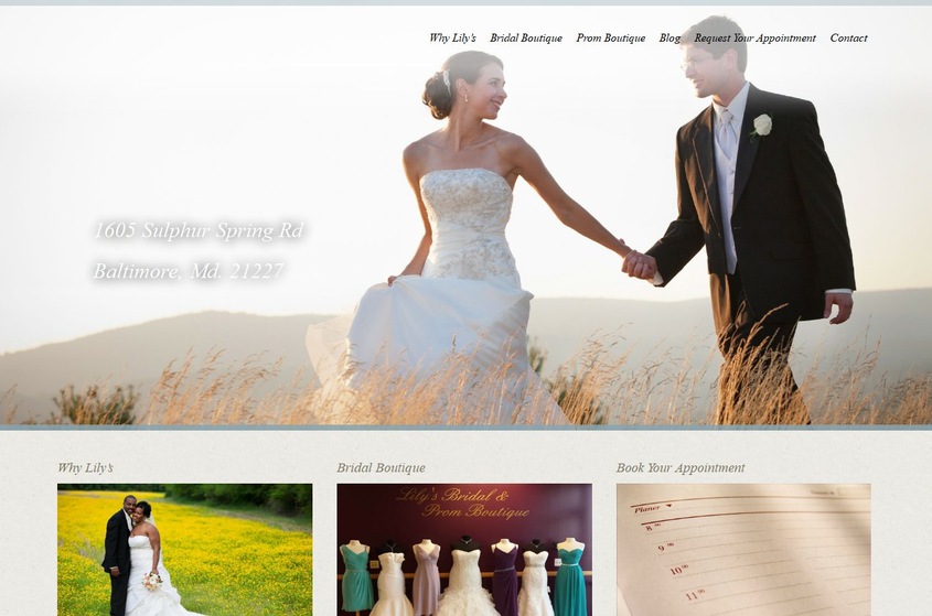 Lily's Bridal and Prom Boutique wedding vendor photo
