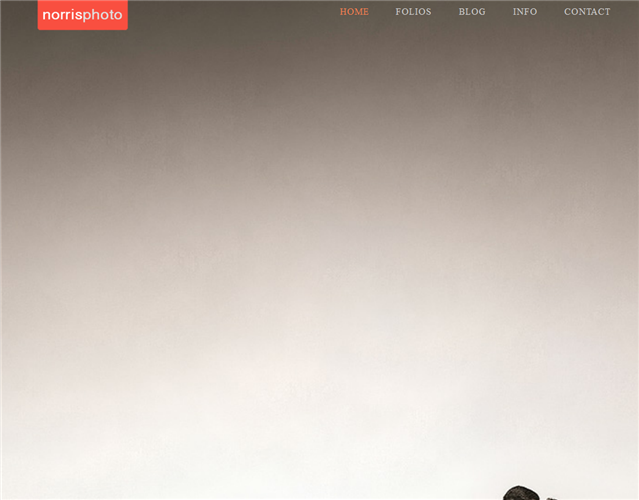 Norris Photo wedding vendor photo