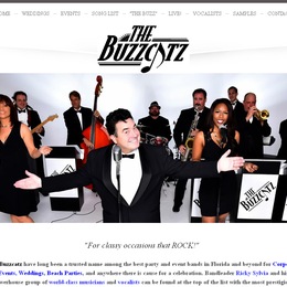 The Buzzcatz Band photo