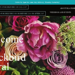 Blackbird Floral photo
