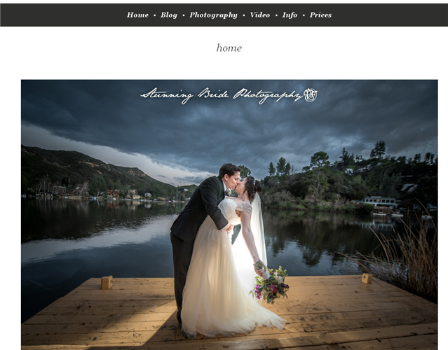 Stunning Bride  wedding vendor photo