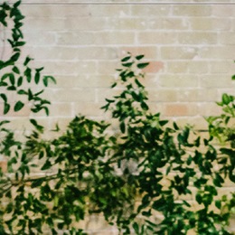 Photo of Birch & Brass Vintage Rentals, a wedding rentals in Austin