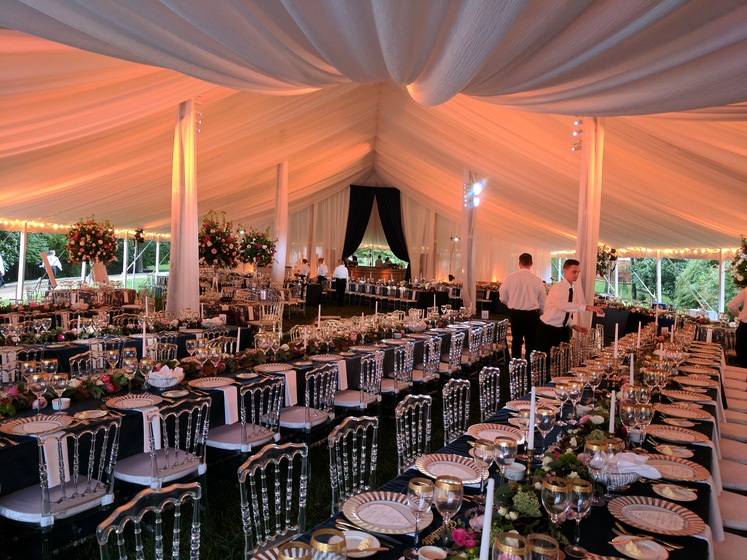 The Lighting & Sound Company wedding vendor photo