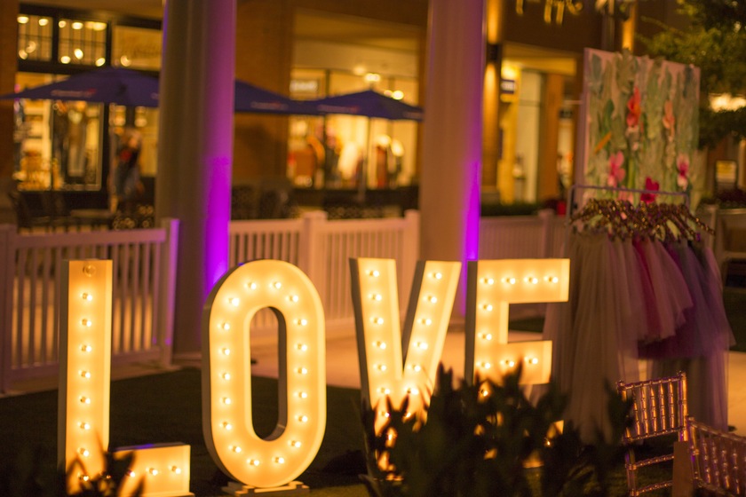 The Lighting & Sound Company wedding vendor photo