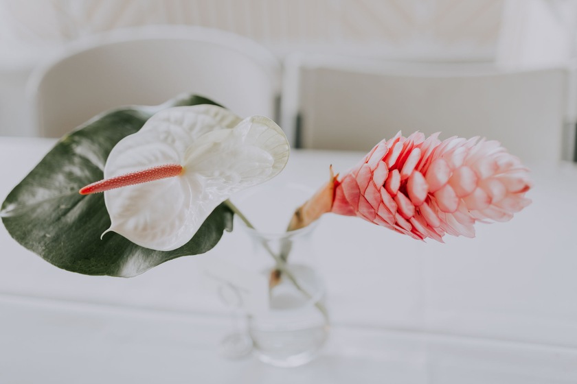 Plant Hawaii Weddings and Events wedding vendor photo