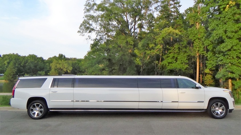 Denver Limo and Party Bus wedding vendor photo