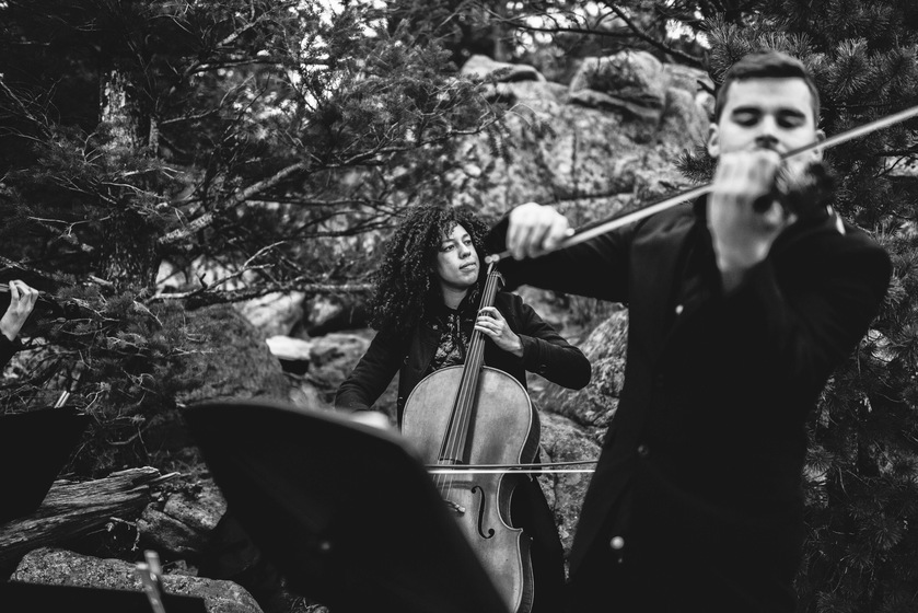 Elope Wedding Music wedding vendor photo