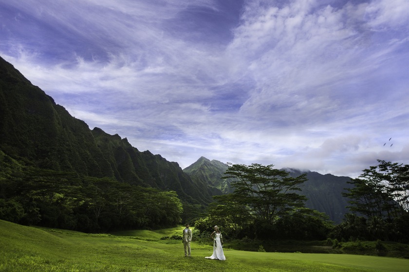 VIVIDfotos wedding vendor photo