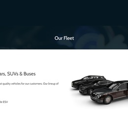 Photo of Executive Limousine, a wedding limo service in Indianapolis