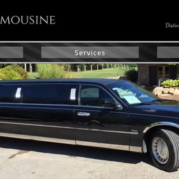 Photo of Elan Limousine Service, a wedding limo service in Indianapolis