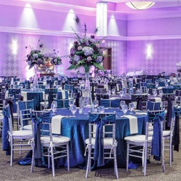 Diamond Banquet Center | Suburban Collection Showplace photo