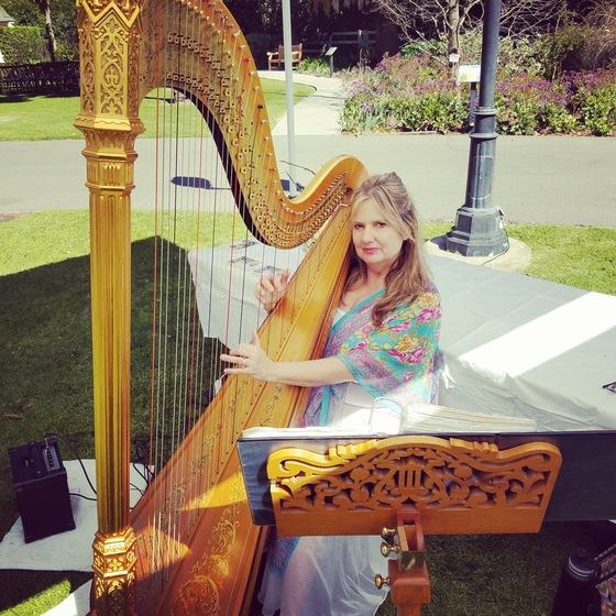 Harp Music by Debora wedding vendor photo