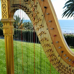 Photo of Harp Music By Debora, a wedding live music in Los Angeles