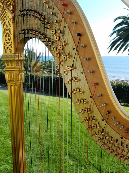 Harp Music by Debora wedding vendor photo