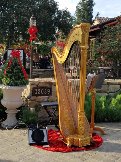 Harp Music by Debora wedding vendor photo