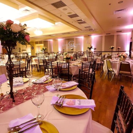 Art Of Sound "DJ • Photo Booth &amp; Uplighting" wedding vendor photo