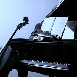 Meg Vos Music photo