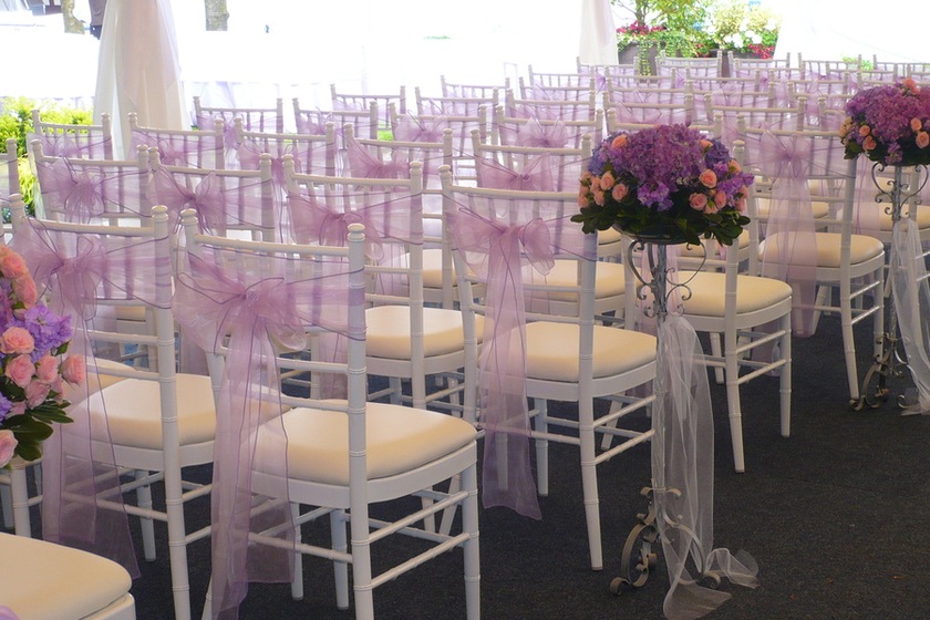 Pink Elephant Party &amp; Event Rentals wedding vendor photo