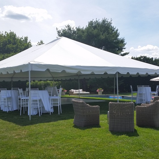 Pink Elephant Party &amp; Event Rentals wedding vendor photo