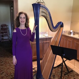 Photo of Harpnotes, a wedding live music in Atlanta