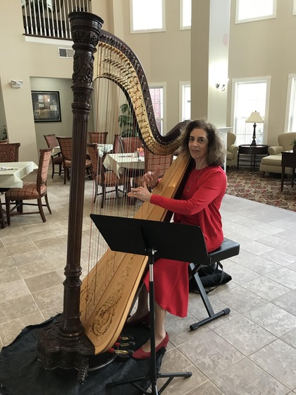 Harpnotes wedding vendor photo
