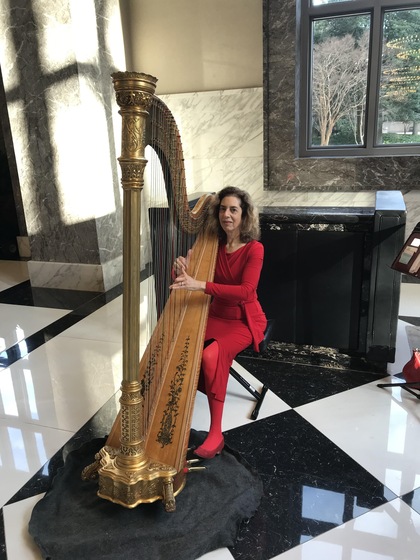 Harpnotes wedding vendor photo