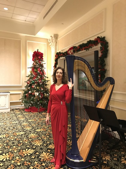 Harpnotes wedding vendor photo
