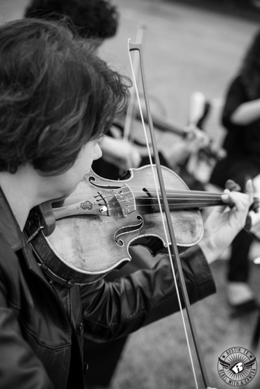 Musical Discovery Chamber Players wedding vendor photo