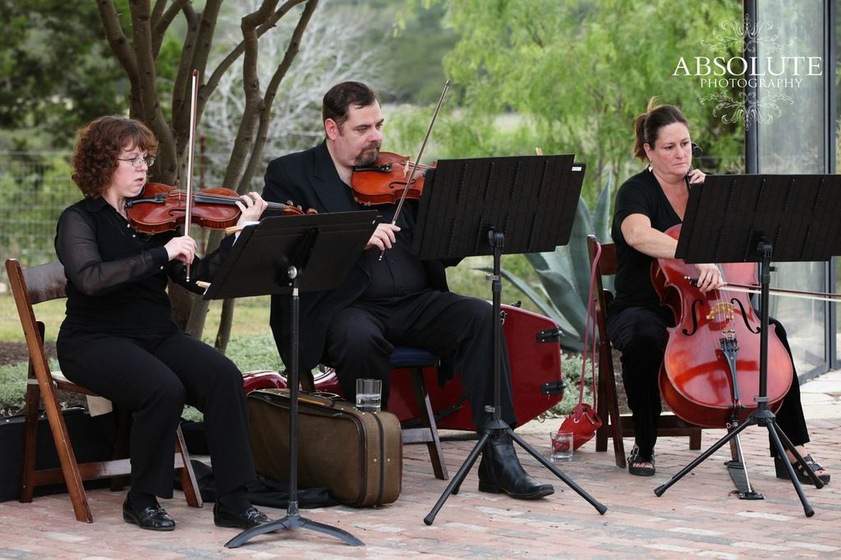 Musical Discovery Chamber Players wedding vendor photo