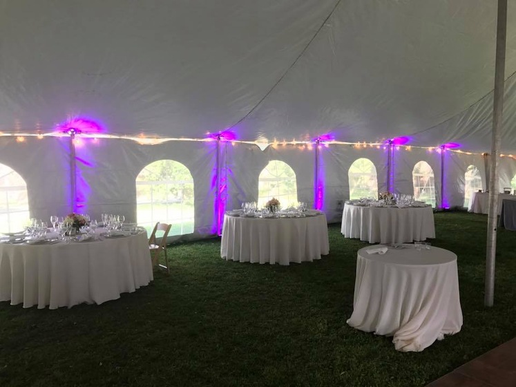 Pro DJs Plus wedding vendor photo