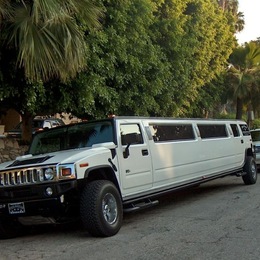 Photo of Limo Richmond, a wedding limo service in Richmond