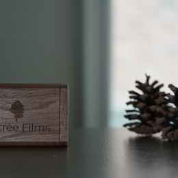 Photo of W Tree Films, a wedding videographer in Toronto