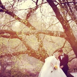 Photo of Pacifica Productions, a wedding photographer in Montreal